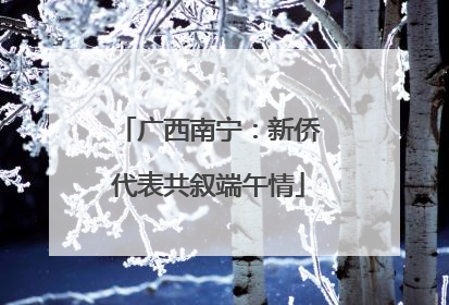 广西南宁：新侨代表共叙端午情