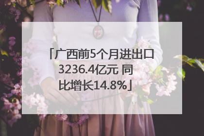 广西前5个月进出口3236.4亿元 同比增长14.8%