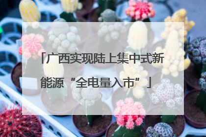 广西实现陆上集中式新能源“全电量入市”