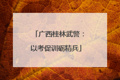 广西桂林武警：以考促训砺精兵