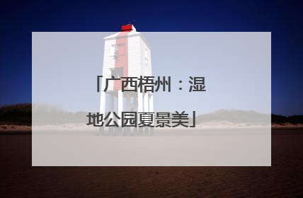 广西梧州：湿地公园夏景美
