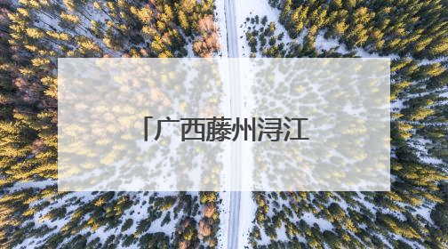 广西藤州浔江大桥顺利通车