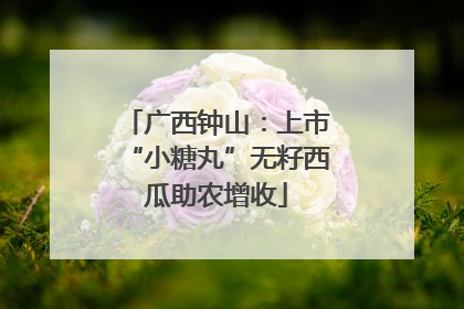 广西钟山：上市“小糖丸”无籽西瓜助农增收