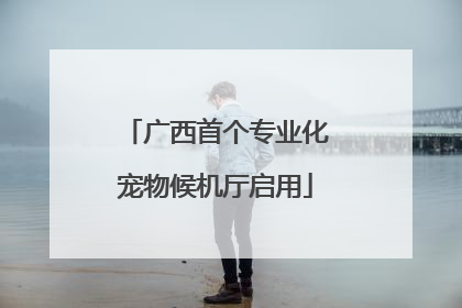 广西首个专业化宠物候机厅启用