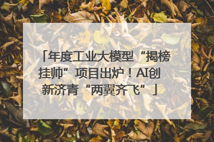 年度工业大模型“揭榜挂帅”项目出炉！AI创新济青“两翼齐飞”