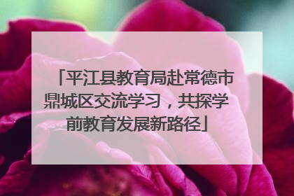 平江县教育局赴常德市鼎城区交流学习，共探学前教育发展新路径