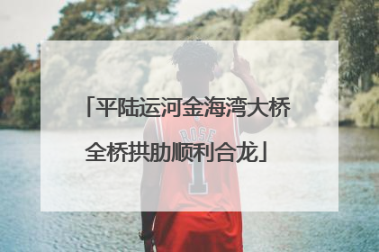 平陆运河金海湾大桥全桥拱肋顺利合龙