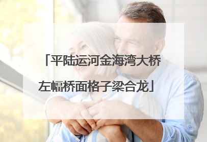 平陆运河金海湾大桥左幅桥面格子梁合龙