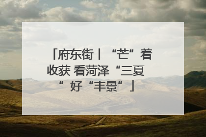府东街丨“芒”着收获 看菏泽“三夏”好“丰景”