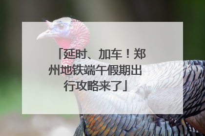 延时、加车！郑州地铁端午假期出行攻略来了