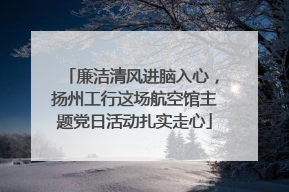 廉洁清风进脑入心，扬州工行这场航空馆主题党日活动扎实走心