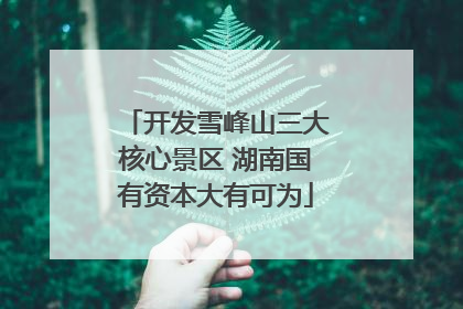 开发雪峰山三大核心景区 湖南国有资本大有可为