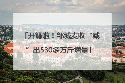 开镰啦！邹城麦收“减”出530多万斤增量