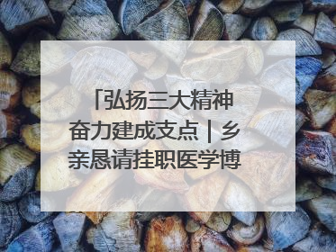 弘扬三大精神 奋力建成支点｜乡亲恳请挂职医学博士再留一年