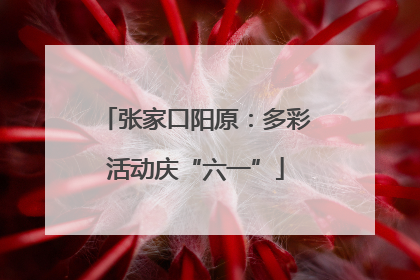 张家口阳原：多彩活动庆“六一”