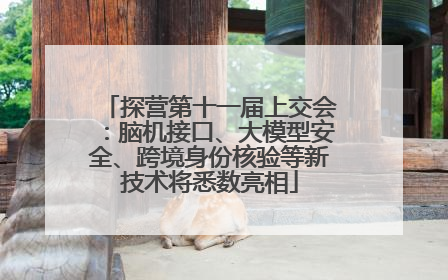 探营第十一届上交会：脑机接口、大模型安全、跨境身份核验等新技术将悉数亮相