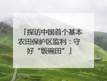 探访中国首个基本农田保护区监利：守好“饭碗田”