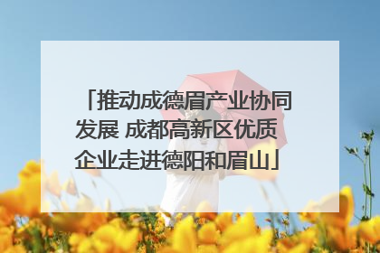 推动成德眉产业协同发展 成都高新区优质企业走进德阳和眉山