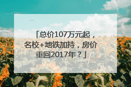总价107万元起，名校+地铁加持，房价重回2017年？