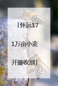 怀远171万亩小麦开镰收割