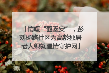 情暖“鹤耋安”，彭刘杨路社区为高龄独居老人织就温情守护网
