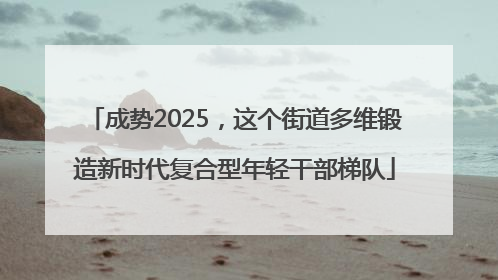 成势2025，这个街道多维锻造新时代复合型年轻干部梯队