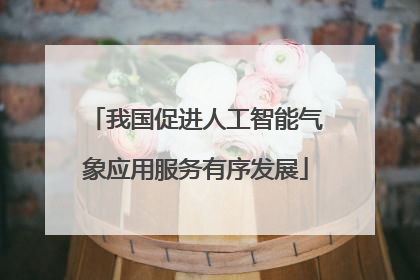 我国促进人工智能气象应用服务有序发展