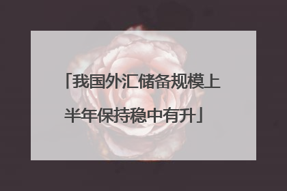 我国外汇储备规模上半年保持稳中有升