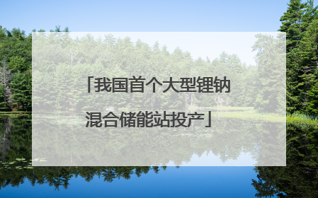 我国首个大型锂钠混合储能站投产