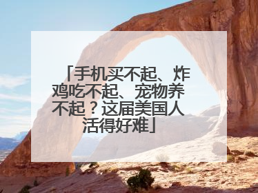 手机买不起、炸鸡吃不起、宠物养不起？这届美国人活得好难