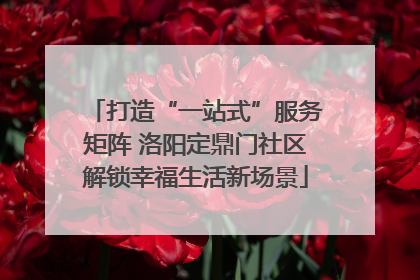 打造“一站式”服务矩阵 洛阳定鼎门社区解锁幸福生活新场景