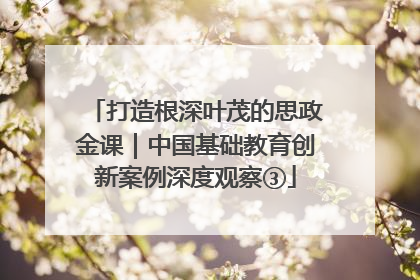 打造根深叶茂的思政金课｜中国基础教育创新案例深度观察③