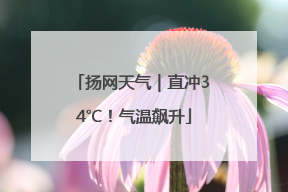 扬网天气｜直冲34℃！气温飙升