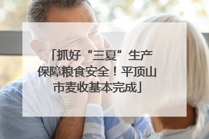 抓好“三夏”生产 保障粮食安全！平顶山市麦收基本完成
