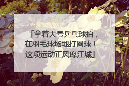 拿着大号乒乓球拍，在羽毛球场地打网球！这项运动正风靡江城