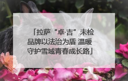 拉萨“卓·吉”未检品牌以法治为盾 温暖守护雪域青春成长路