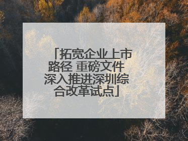 拓宽企业上市路径 重磅文件深入推进深圳综合改革试点