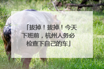 拔掉！拔掉！今天下班前，杭州人务必检查下自己的车