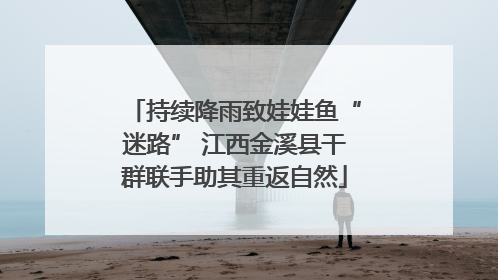 持续降雨致娃娃鱼“迷路” 江西金溪县干群联手助其重返自然