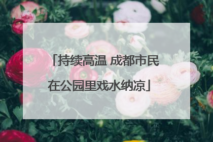 持续高温 成都市民在公园里戏水纳凉