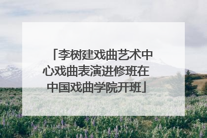 李树建戏曲艺术中心戏曲表演进修班在中国戏曲学院开班