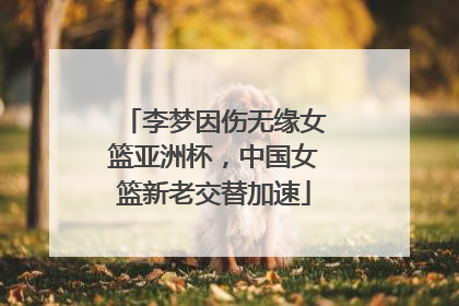 李梦因伤无缘女篮亚洲杯，中国女篮新老交替加速