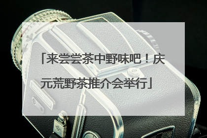 来尝尝茶中野味吧！庆元荒野茶推介会举行