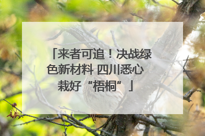 来者可追！决战绿色新材料 四川悉心栽好“梧桐”