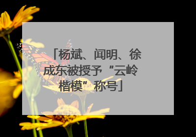 杨斌、闻明、徐成东被授予“云岭楷模”称号