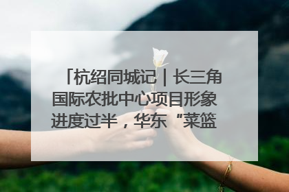 杭绍同城记｜长三角国际农批中心项目形象进度过半，华东“菜篮子”建设加码提速！
