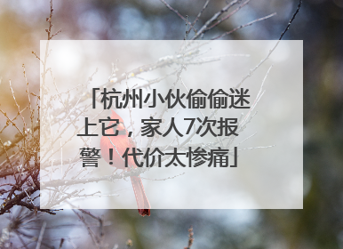 杭州小伙偷偷迷上它，家人7次报警！代价太惨痛