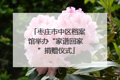 枣庄市中区档案馆举办“家谱回家”捐赠仪式