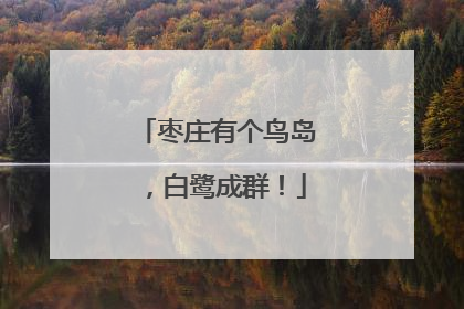 枣庄有个鸟岛，白鹭成群！