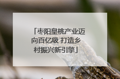 枣阳皇桃产业迈向百亿级 打造乡村振兴新引擎